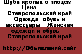 Шуба кролик с писцем › Цена ­ 3 500 - Ставропольский край Одежда, обувь и аксессуары » Женская одежда и обувь   . Ставропольский край